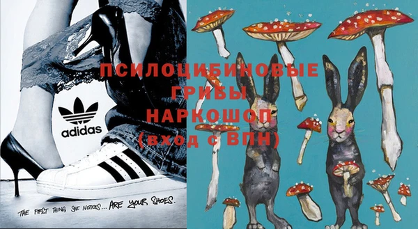 spice Липки