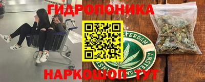 тгк Кинель