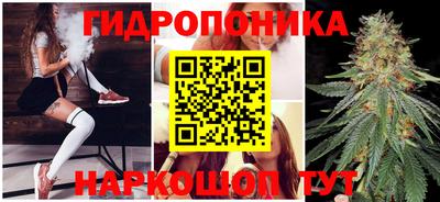 MDMA Кингисепп