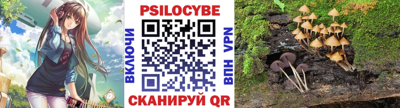 Галлюциногенные грибы Psilocybine cubensis  купить   Феодосия 